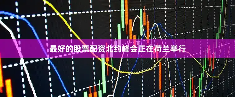 最好的股票配资北约峰会正在荷兰举行
