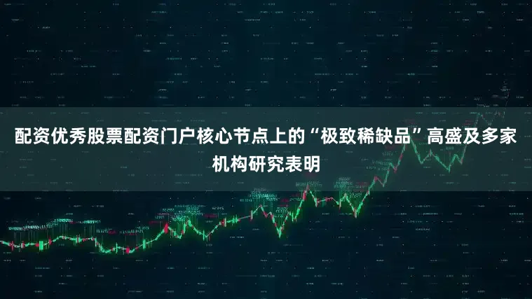配资优秀股票配资门户核心节点上的“极致稀缺品”高盛及多家机构研究表明